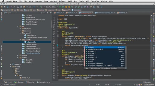 IntelliJ_IDEA_12.0.4_Ultimate